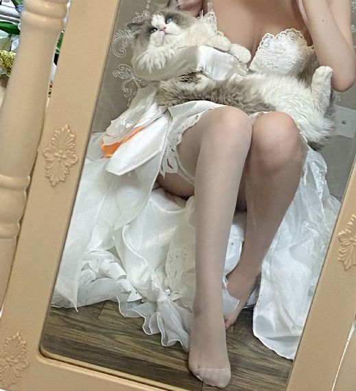 免费在线观看视频的